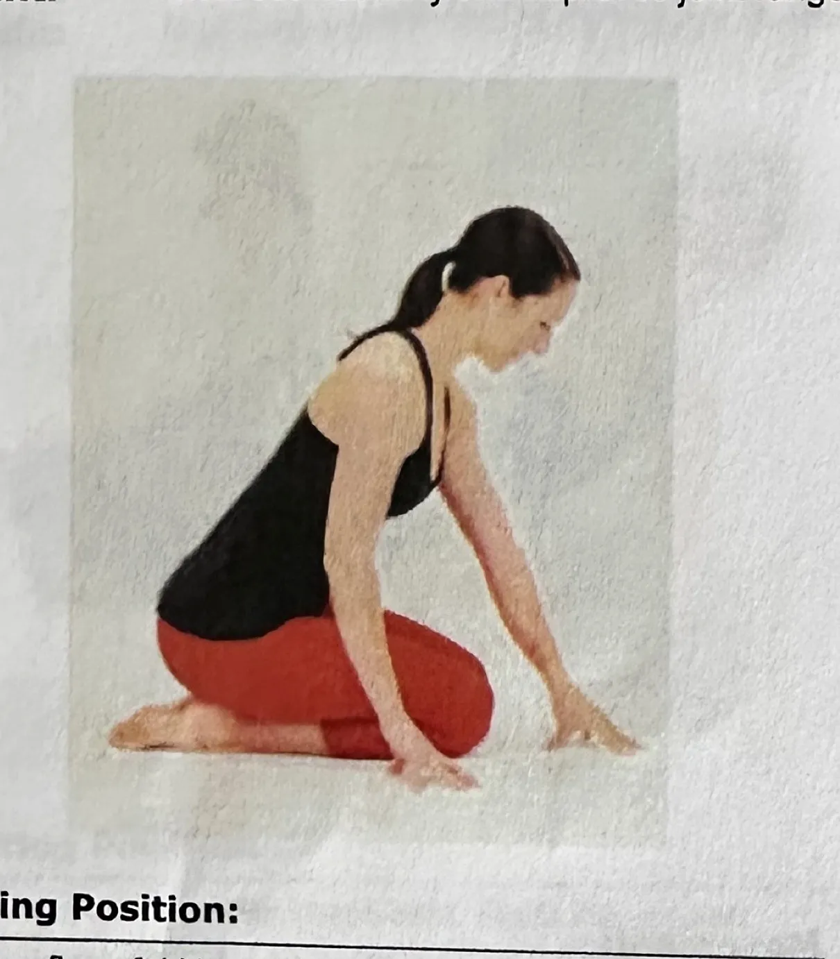Seiza Poser starting position