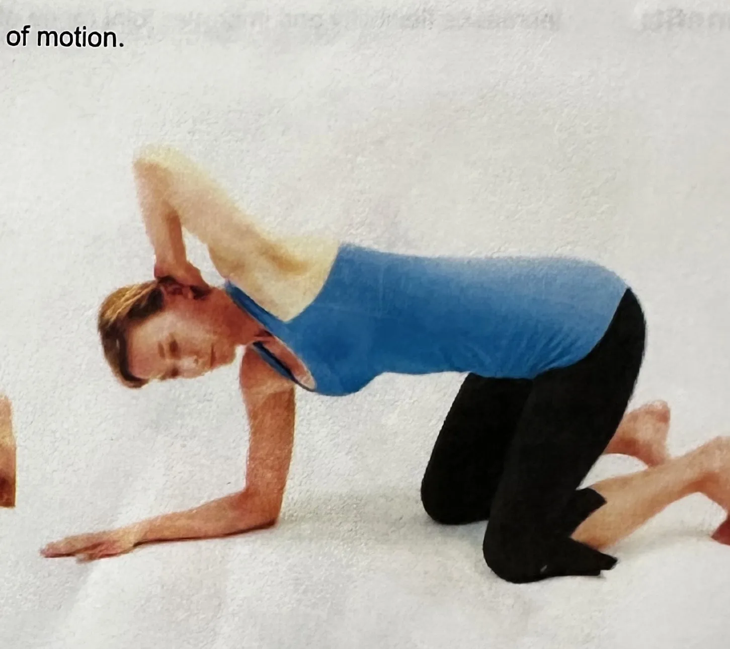 Quadruped Mid Back Mobility movement or finishing position
